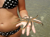 bikini girl with starfish