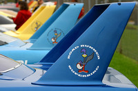 Plymouth Superbirds